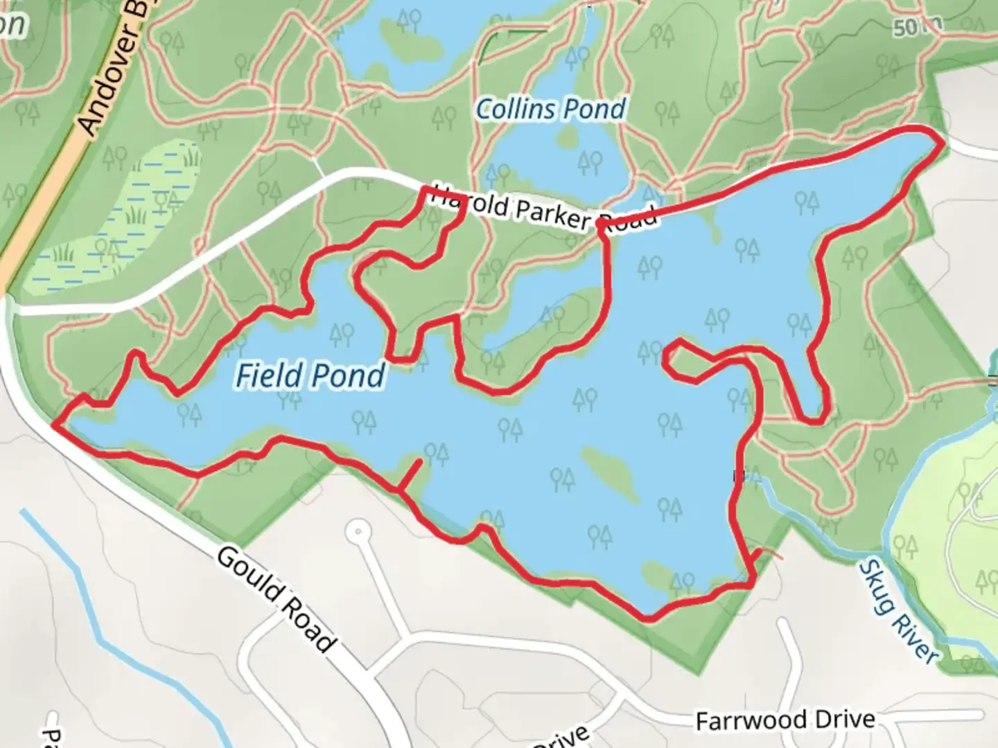An image depicting the trail Field Pond Loop Harold Parker Road and its surrounding area.
