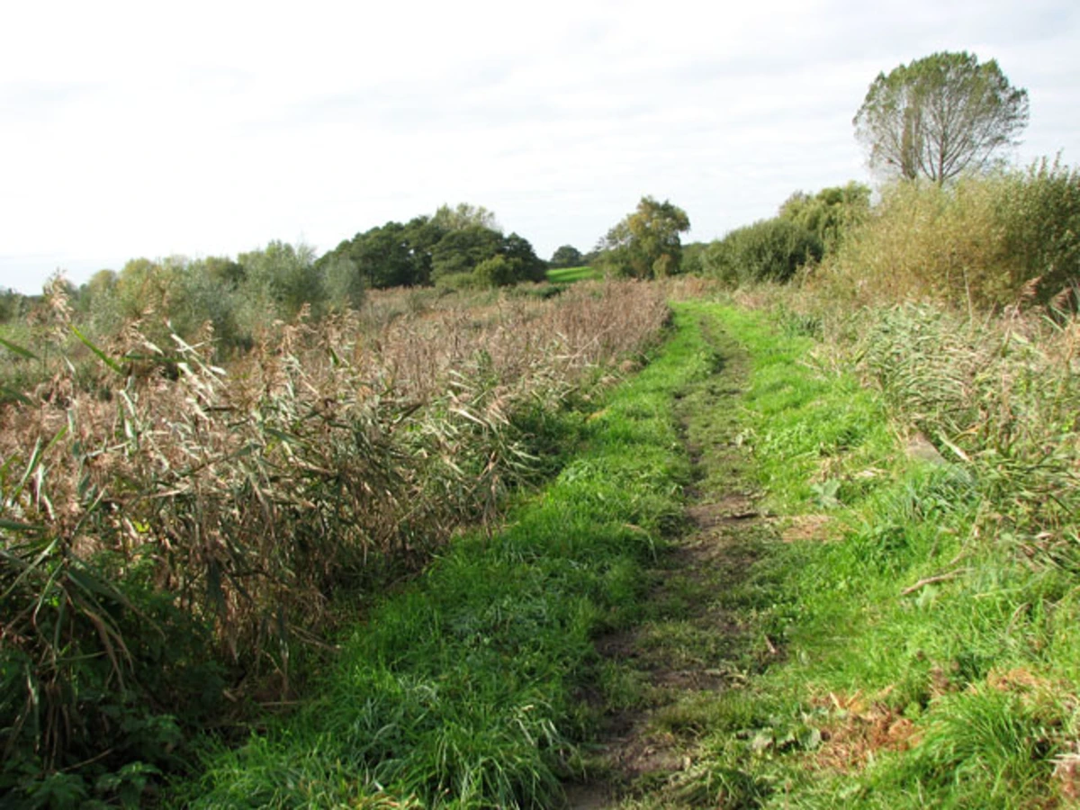 North Cove Nature Reserve Loop from Beccles