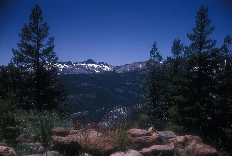 An image depicting the trail Coldwater Stock Trail and its surrounding area.