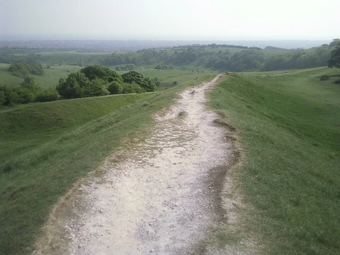 An image depicting the trail Cissbury Ring Loop and its surrounding area.
