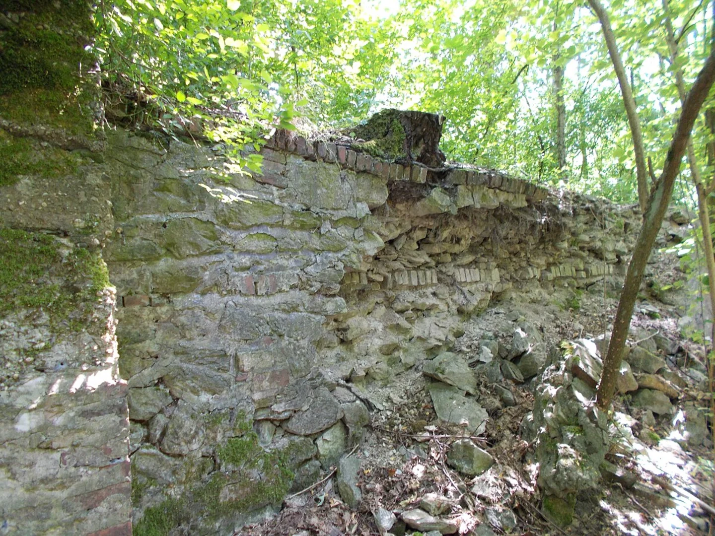 An image depicting the trail Endeckerschleife Steinbruch Schlupkothen Loop and its surrounding area.