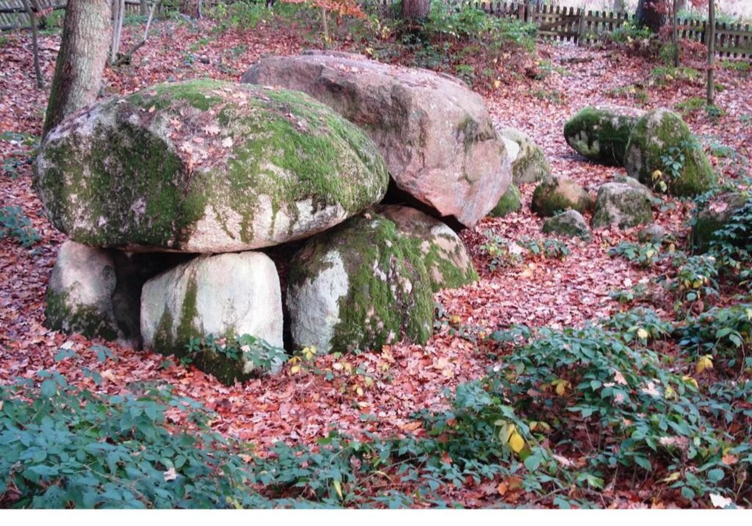 An image depicting the trail Blankensee and Grönauer Heide Loop and its surrounding area.