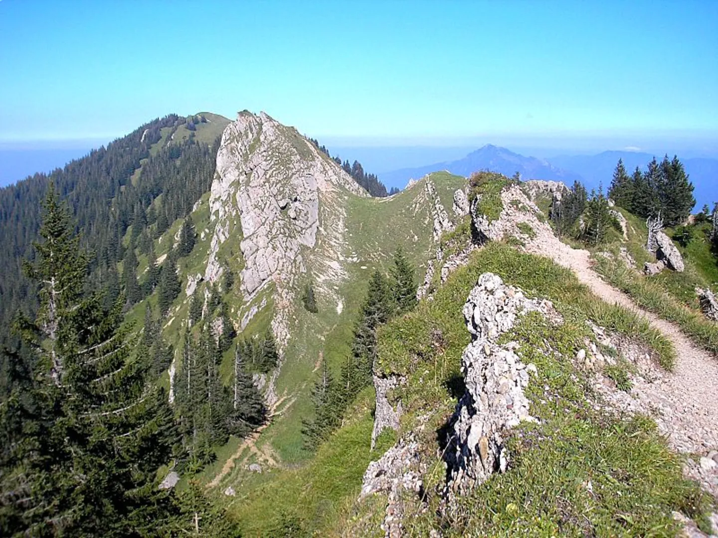 An image depicting the trail Steineberg Peak Scenic Walk via Mittagberg and its surrounding area.