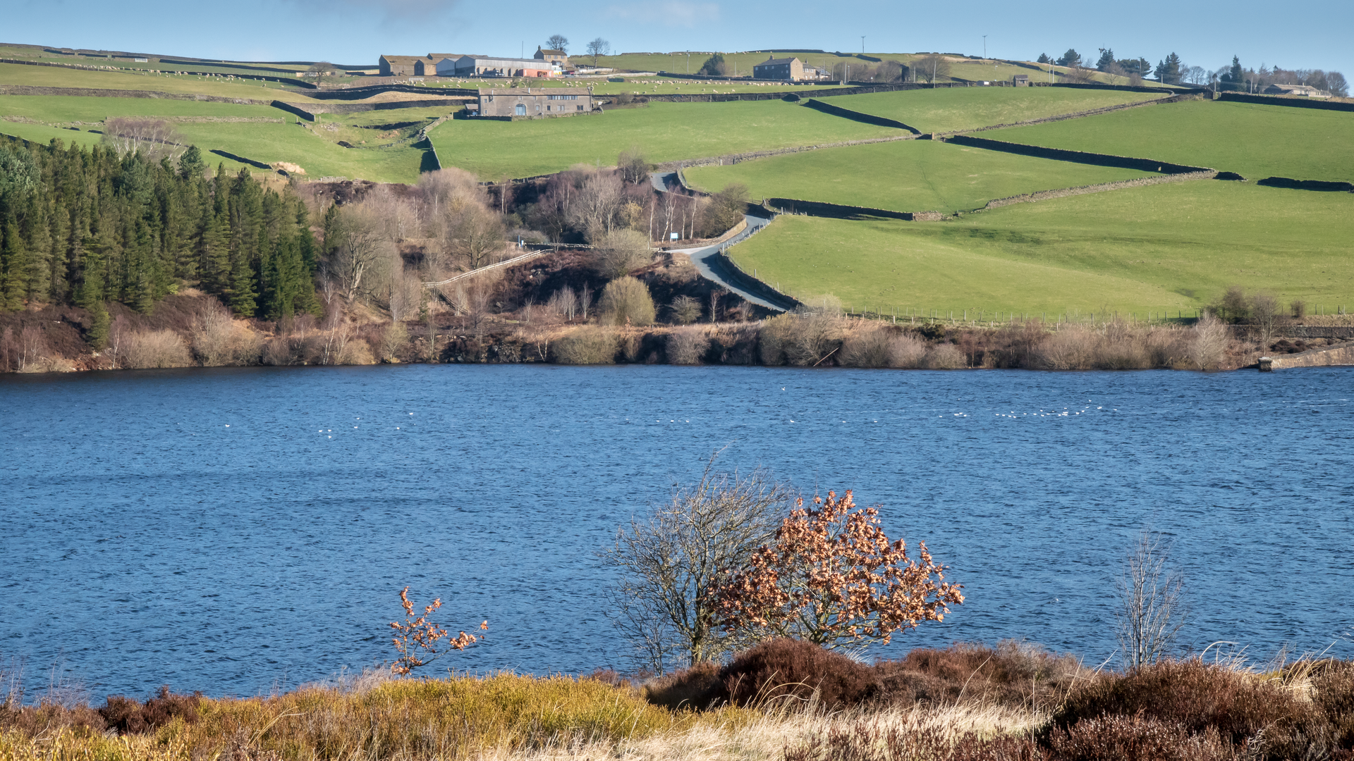 An image depicting the trail Bog Dodgers Way and its surrounding area.