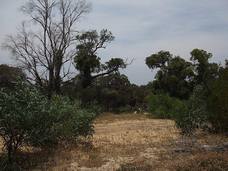 An image depicting the trail Neerabup National Park and its surrounding area.