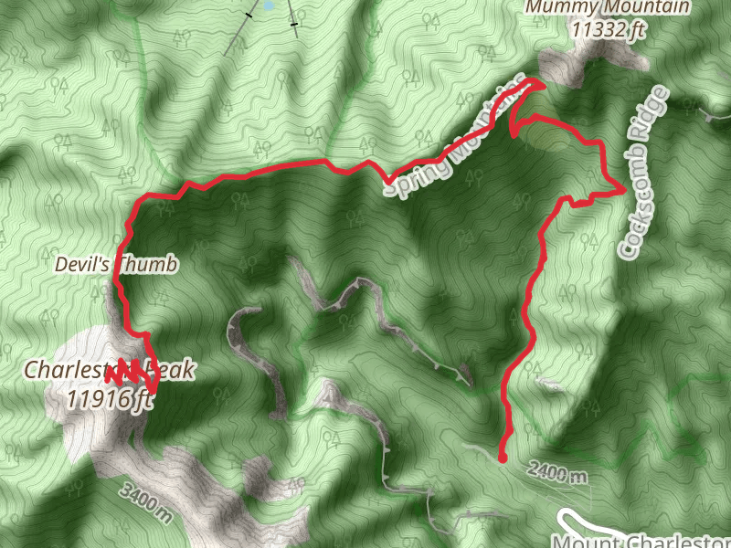 Charleston Peak Trail