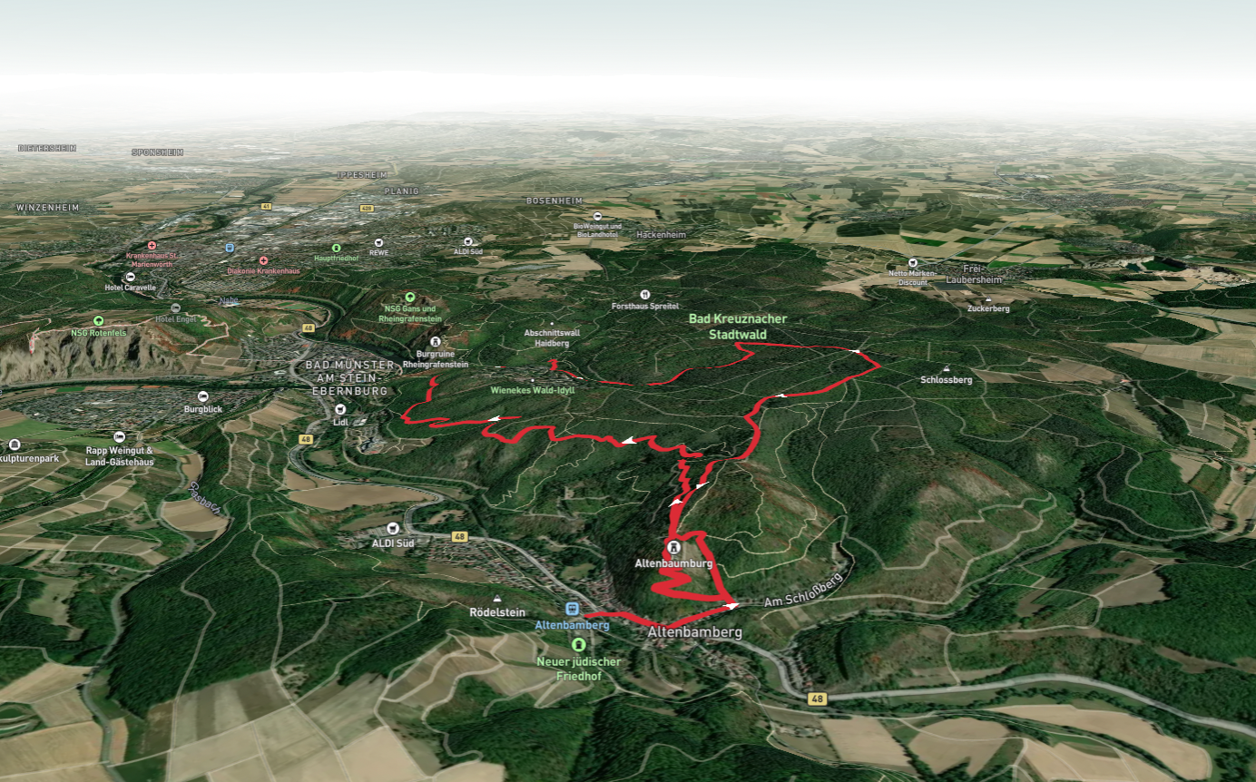 Vitaltour Rheingrafenstein