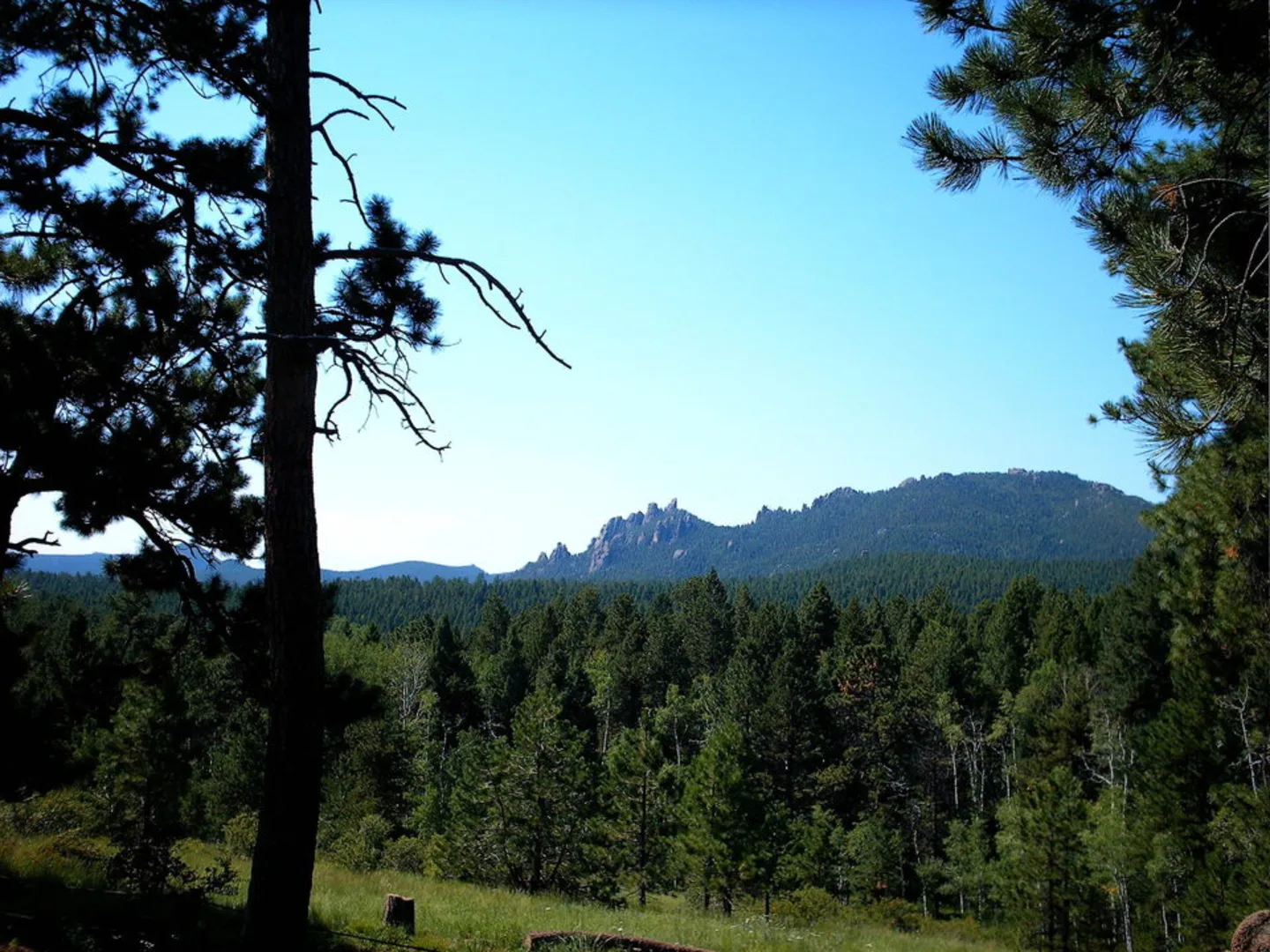 An image depicting the trail Ringtail Trail and its surrounding area.