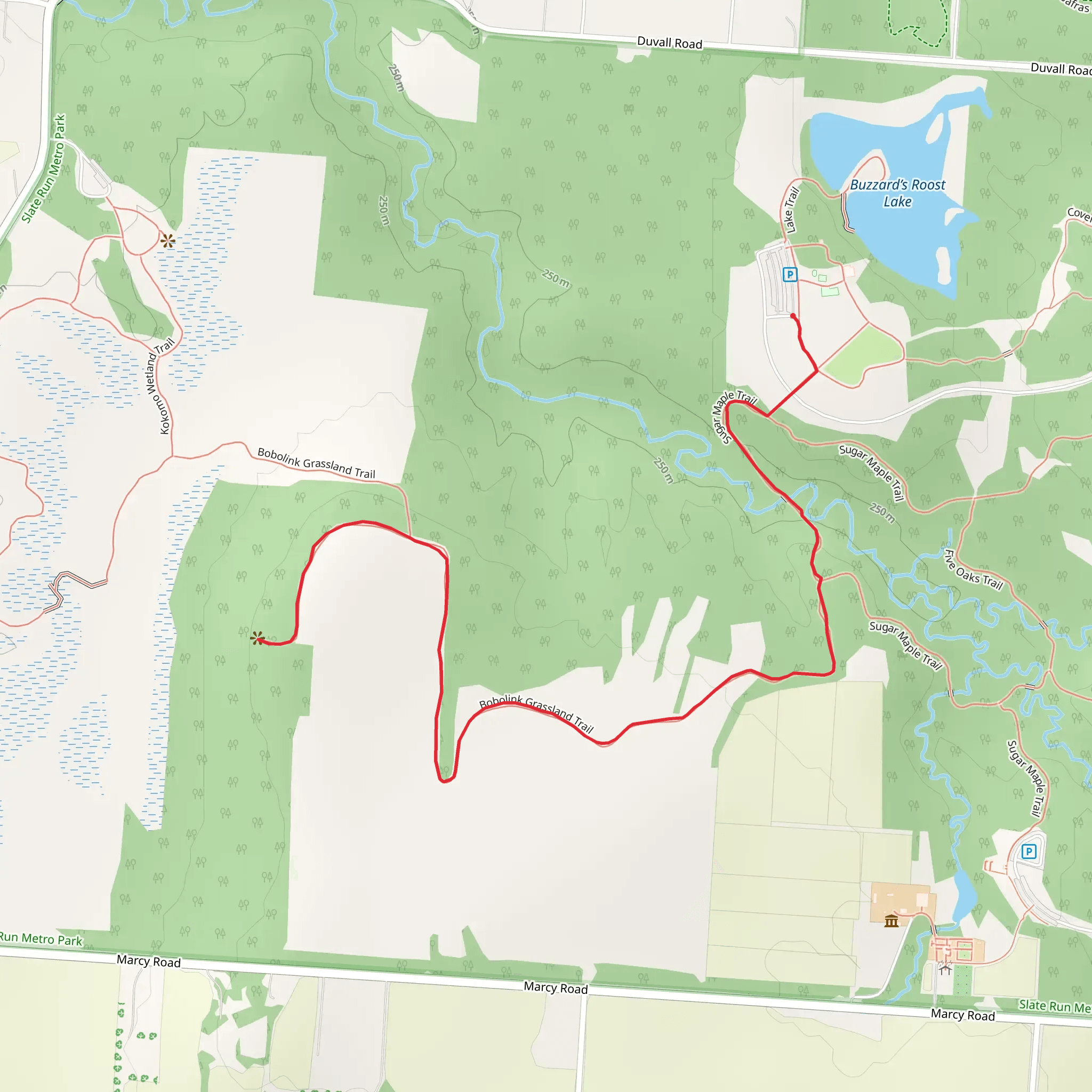 Sugar Maple and Bobolink Grassland Trail mobile static map