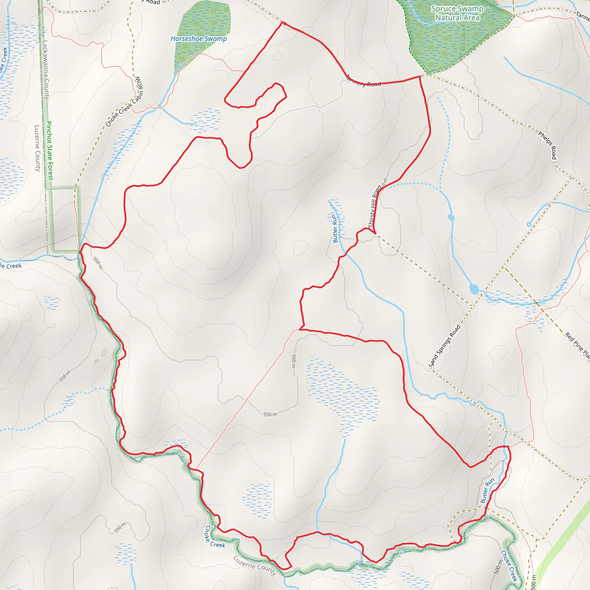 Pinchot Trail Loop mobile static map