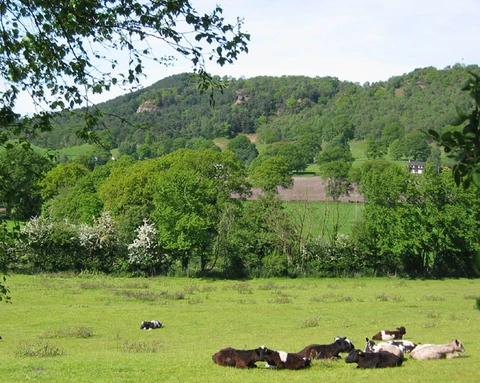 Bulkeley Hill Viewpoint, Rawhead and Bodnick Wood Loop