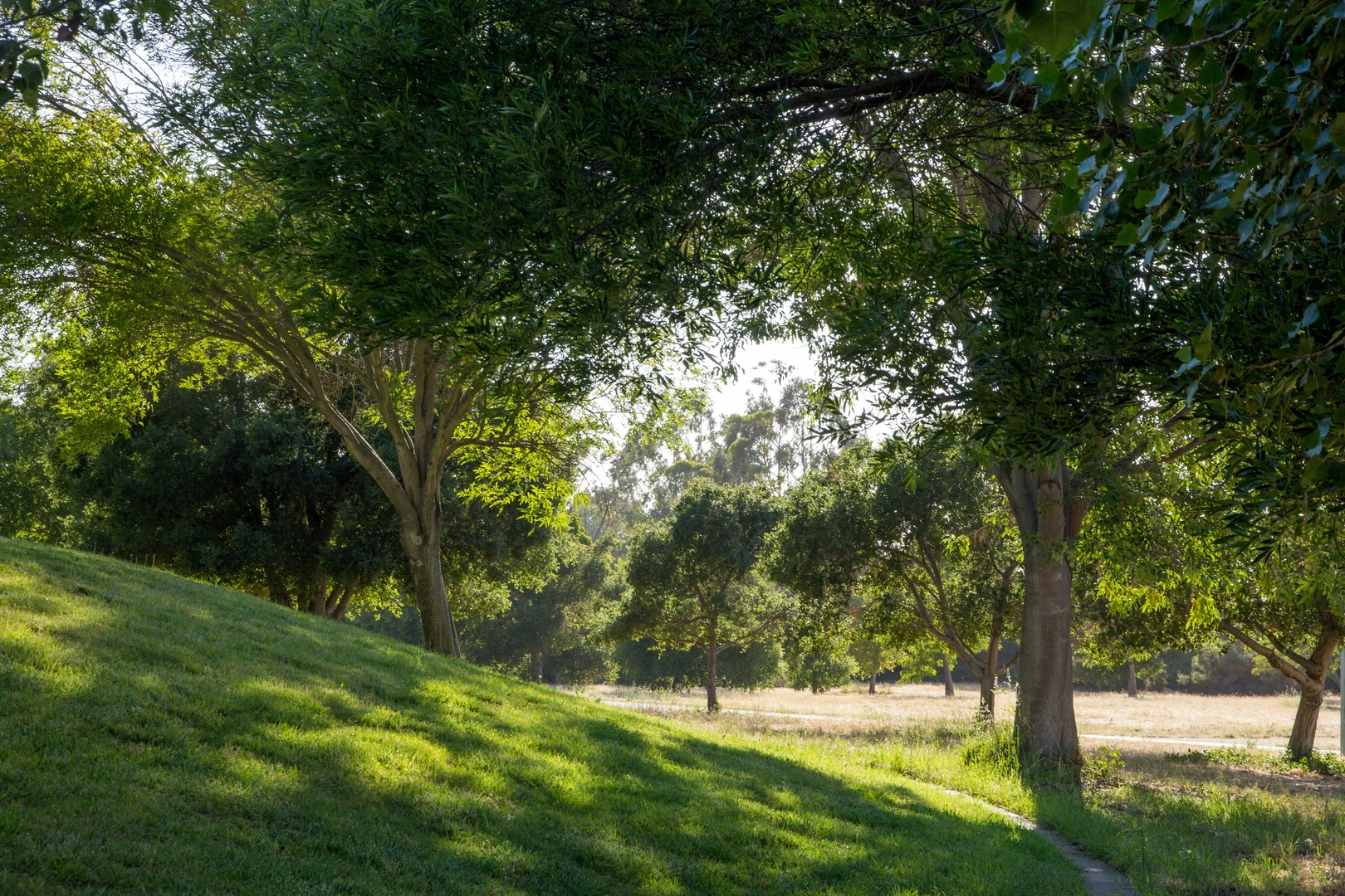 An image depicting the trail Sunnyvale Baylands Park Loop and its surrounding area.