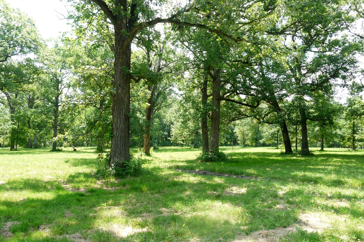 Sundial Bridge from Hilltop Drive