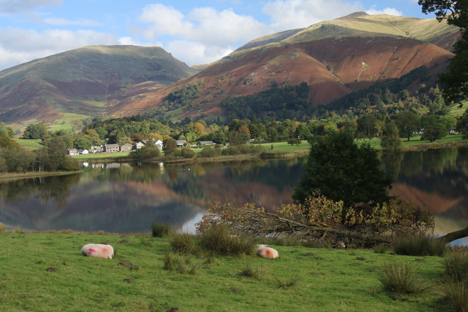 An image depicting the trail Grasmere Skyline Loop Walk and its surrounding area.