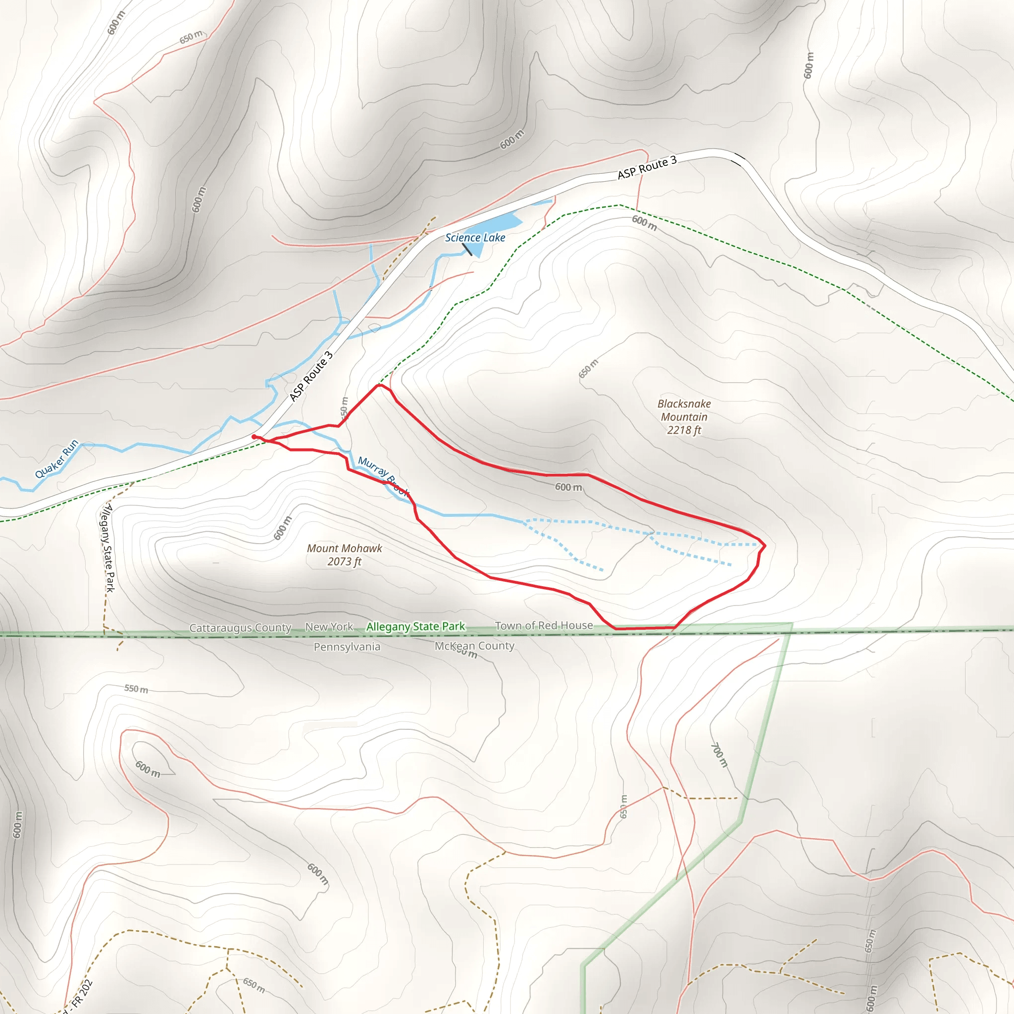 Black Snake Mountain Trail Loop mobile static map