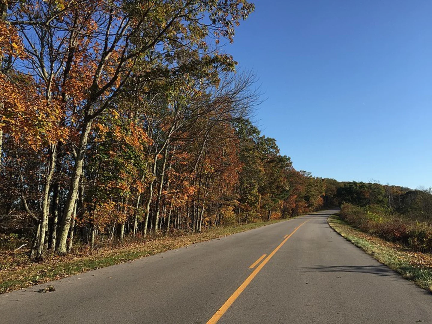 An image depicting the trail Bald Mountain Overlook Trail and its surrounding area.