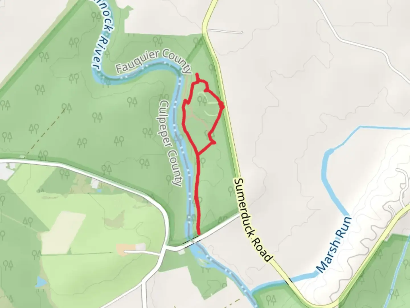 An image depicting the trail Rappahannock River Side Loop and its surrounding area.