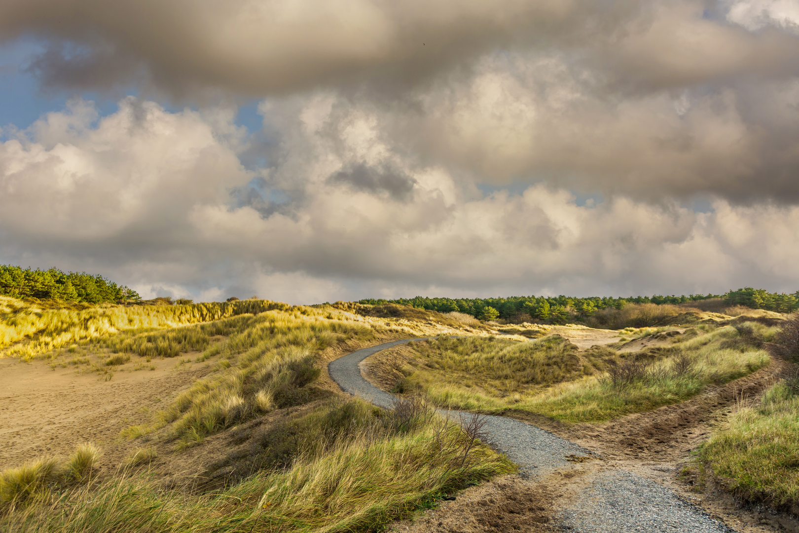 An image depicting the trail Vinkenburg, Zeeduinen, Paardenkerkhof and Oosterduinse Meer Loop and its surrounding area.