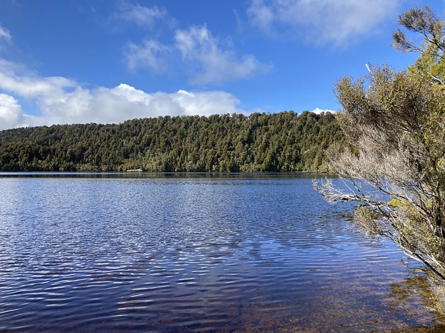 An image depicting the trail Lake Gault Track and its surrounding area.