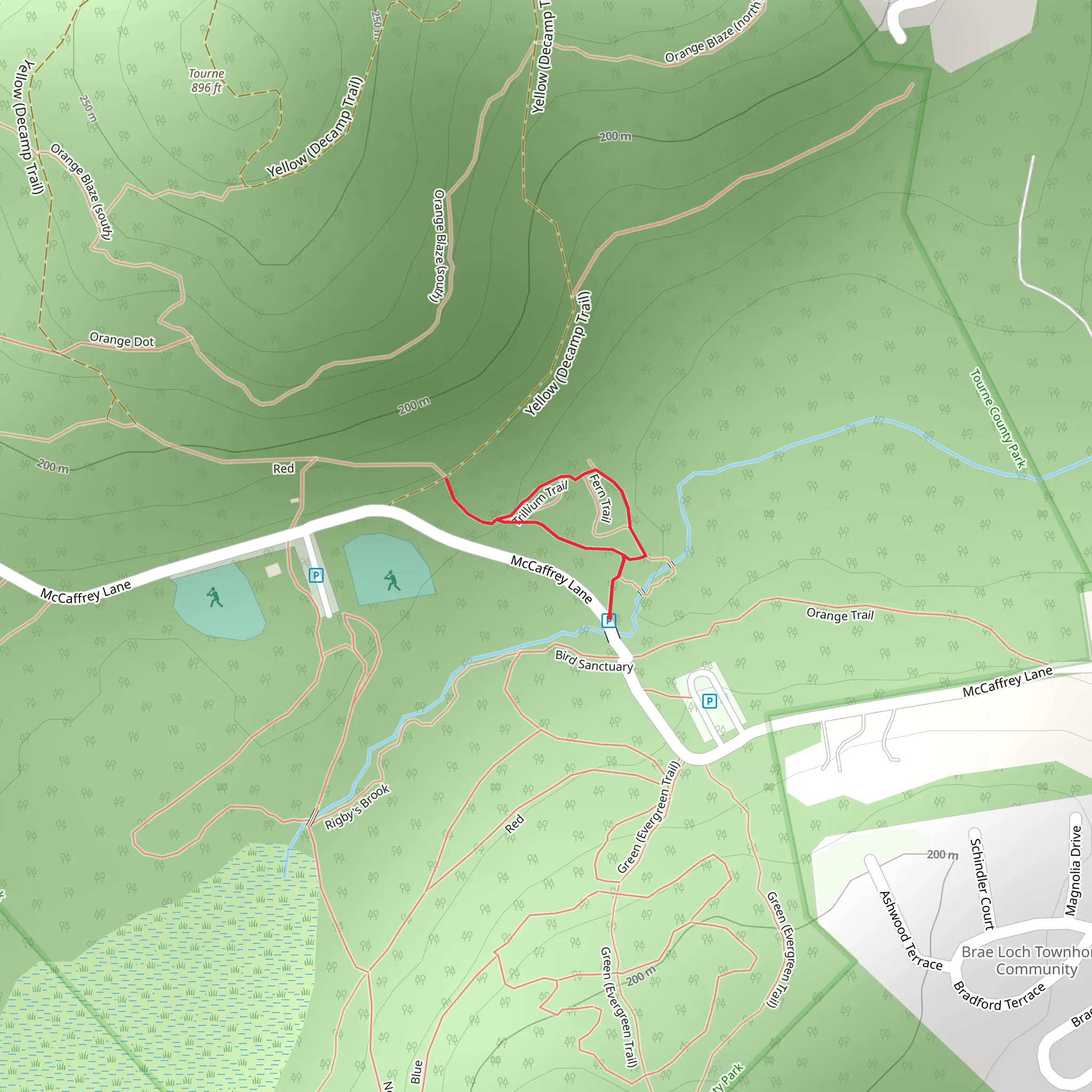 Wildflower and Swamp Loop Trail mobile static map