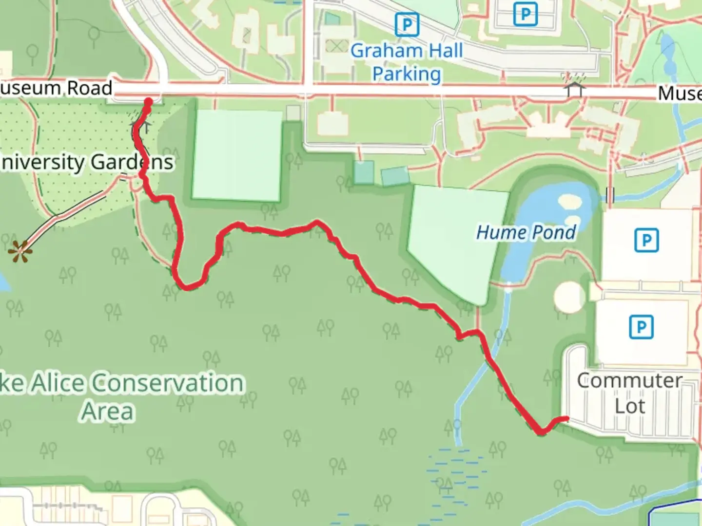 An image depicting the trail Lake Alice Field and its surrounding area.