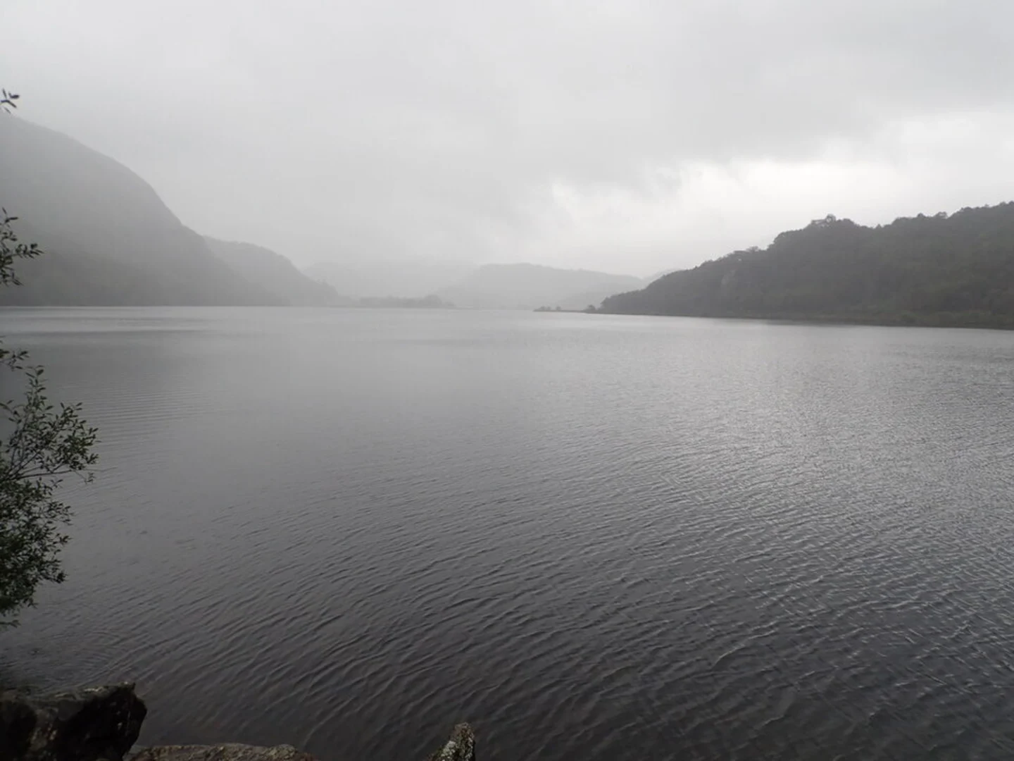 An image depicting the trail Llyn Dinas Loop and its surrounding area.