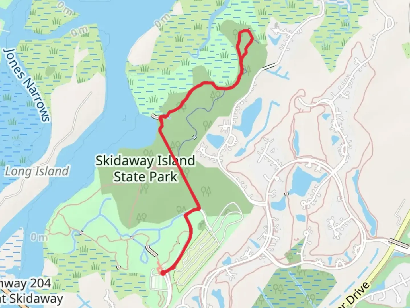 An image depicting the trail Big Ferry Loop Trail and Skidaway Island Park Road and its surrounding area.