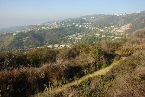 An image depicting the trail Leacock Memorial Trail and its surrounding area.
