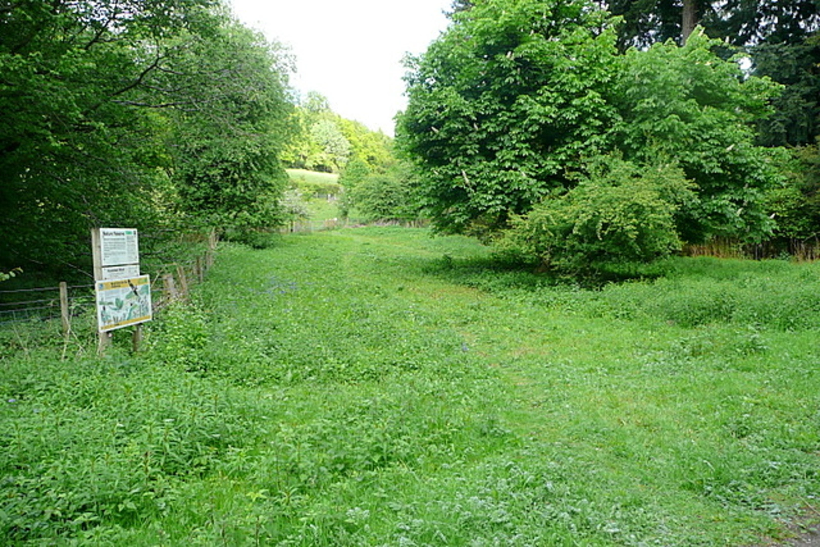 An image depicting the trail Bovingdon Green Loop and its surrounding area.