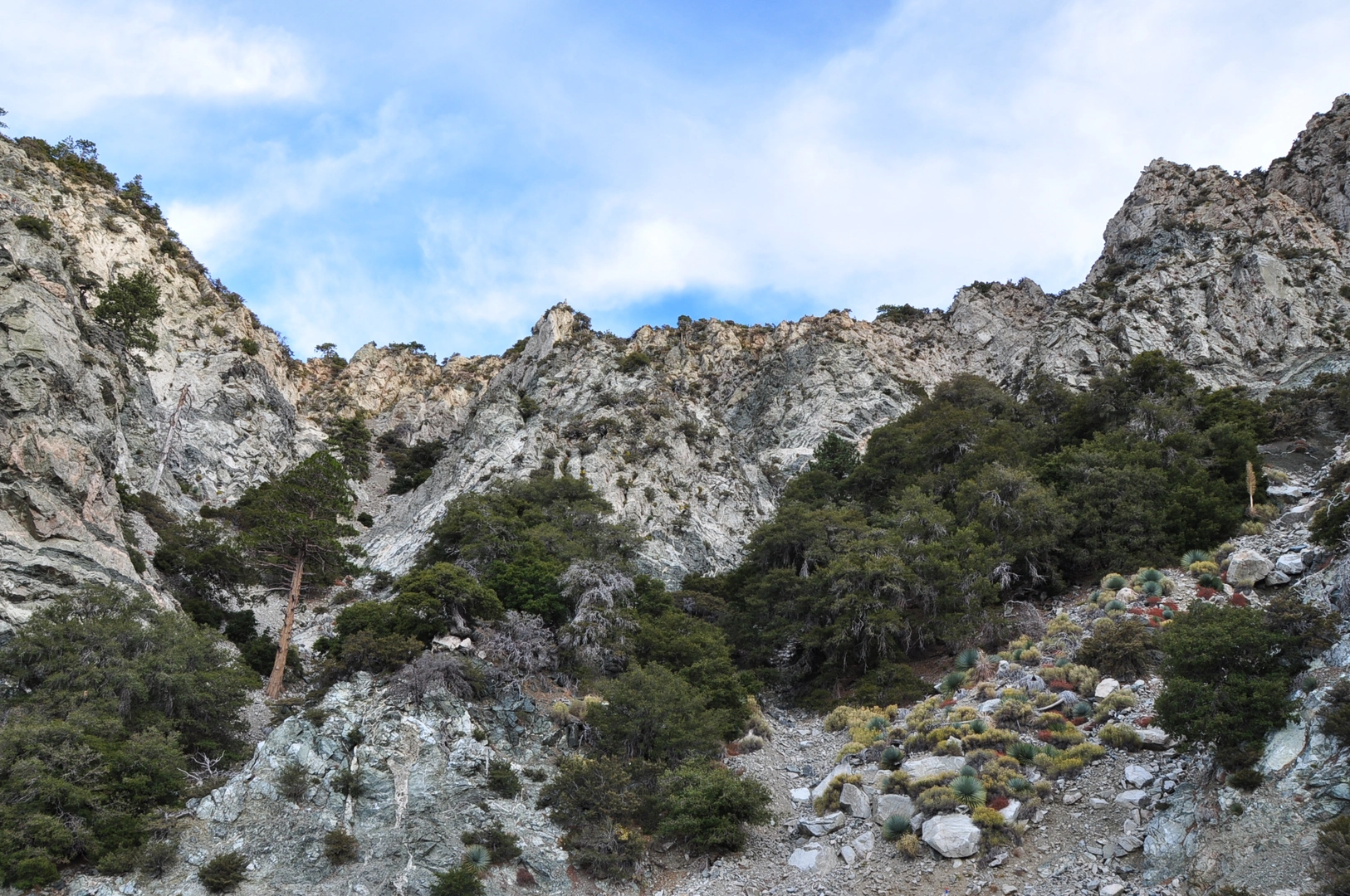 An image depicting the trail Mount Williamson via Silver Moccasin Trail and its surrounding area.