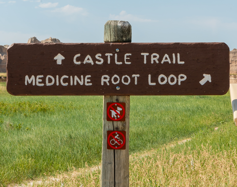 An image depicting the trail Medicine Root Trail and its surrounding area.