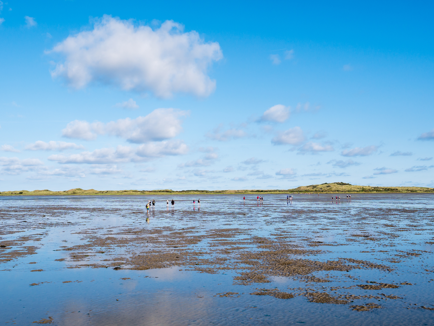 An image depicting the trail Hollumerduinen, Ballumerduinen, Zwanewaterduinen and Nesserbosch and its surrounding area.