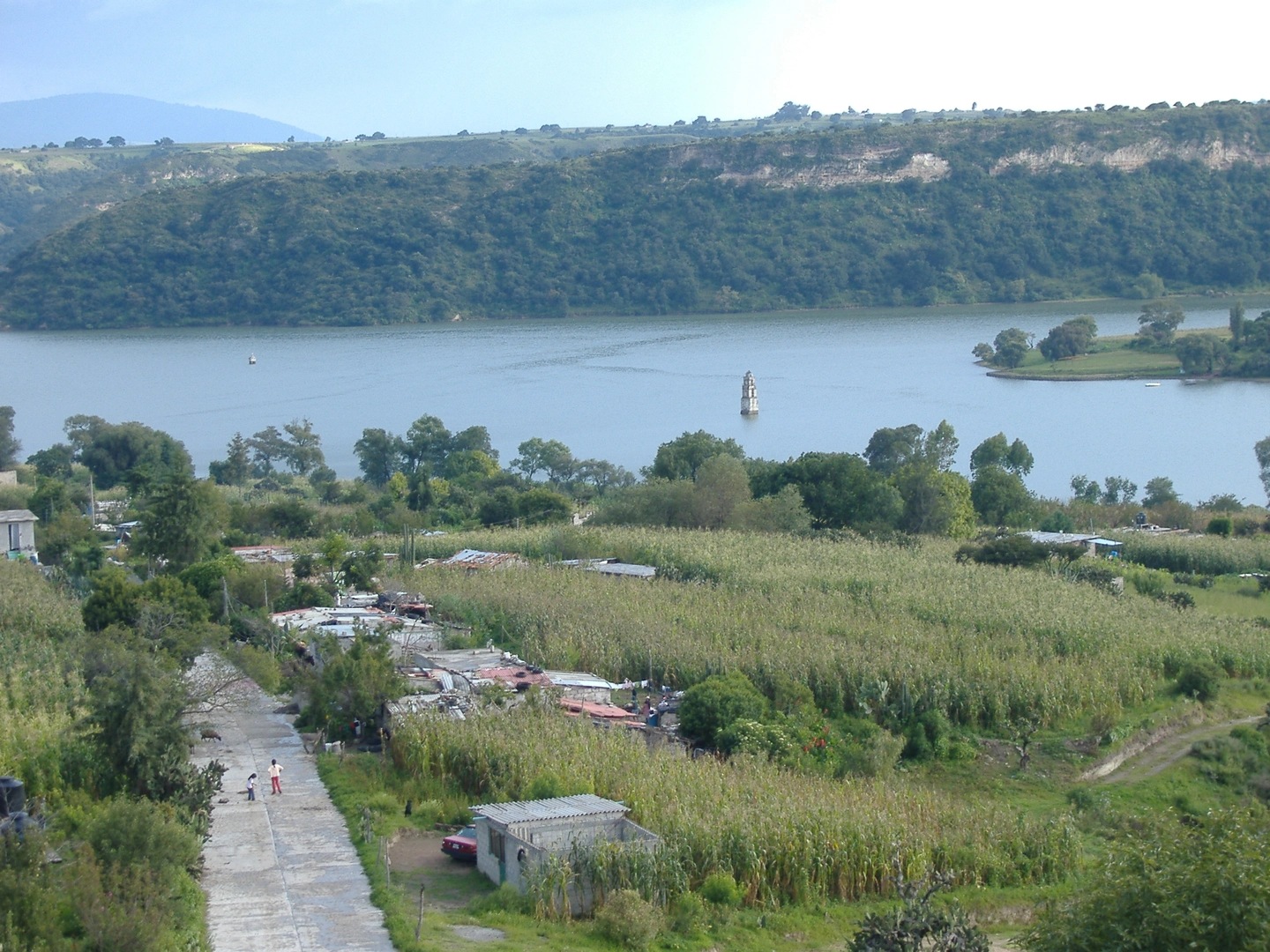 An image depicting the trail Pine, Lower Ridge and SKyline Loop Trail and its surrounding area.