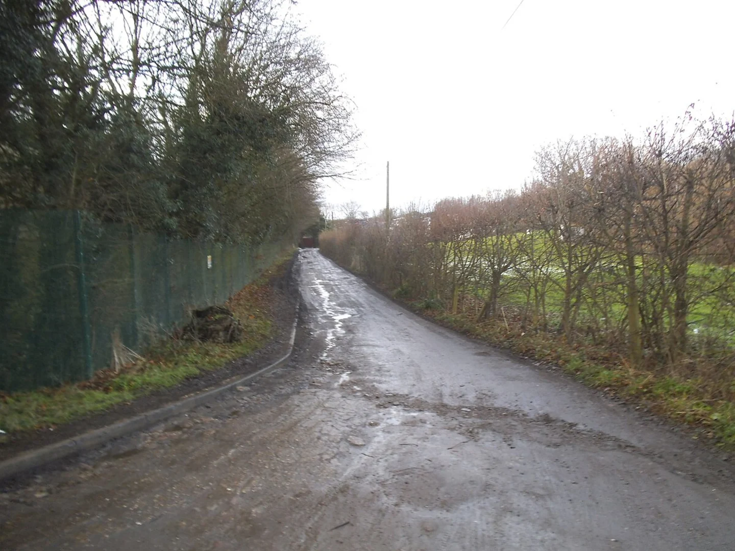 An image depicting the trail How Wood, Bricket Wood and Peartree Wood Loop and its surrounding area.