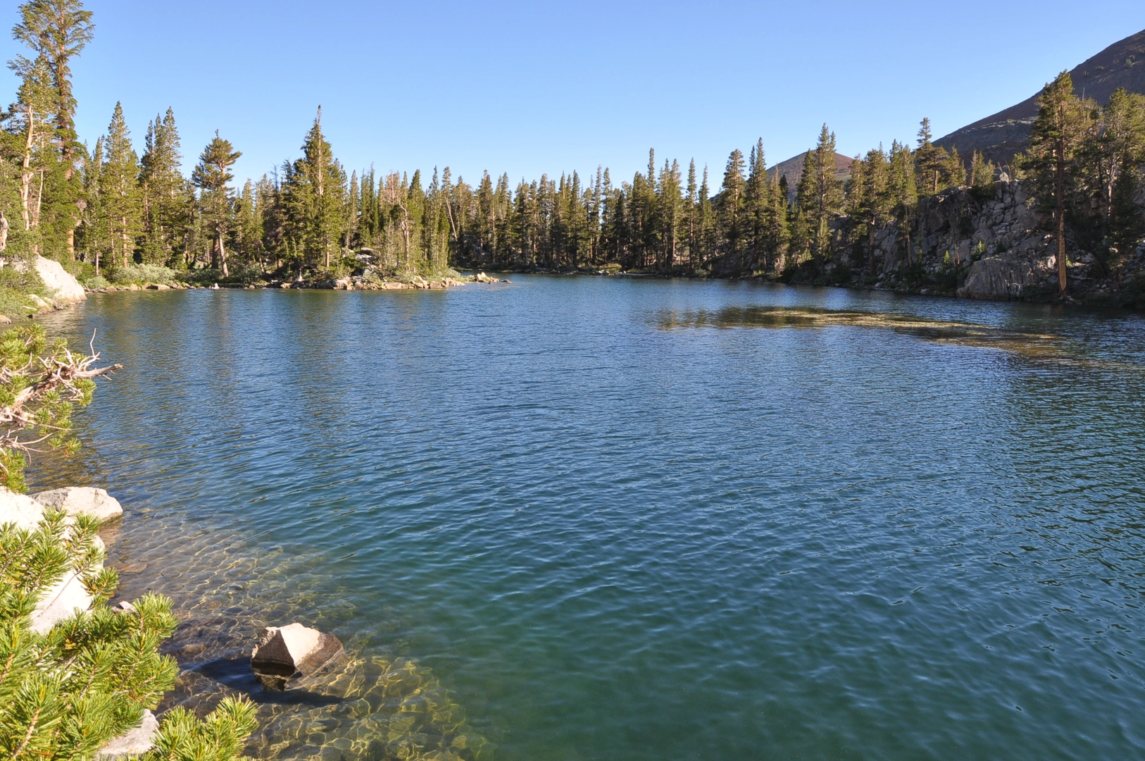 An image depicting the trail Skelton Lake via Duck Pass Trail and its surrounding area.