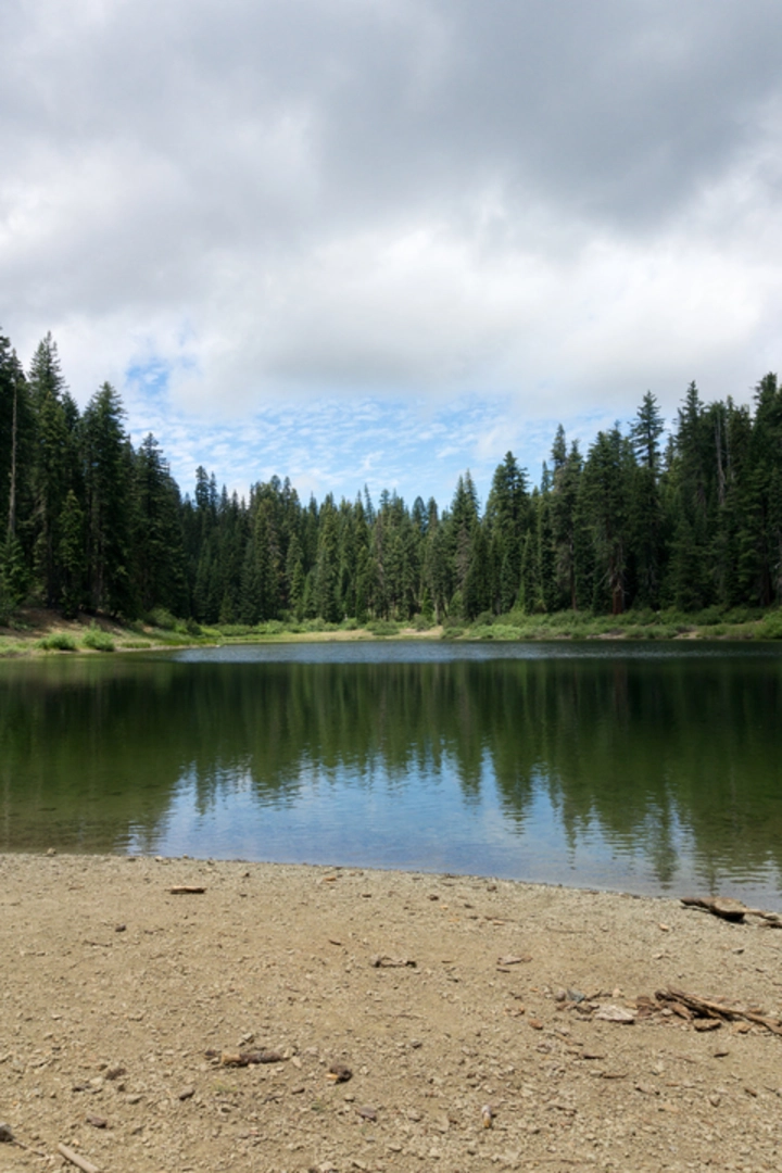 An image depicting the trail Kelly Lake - Poker Flat Trail and its surrounding area.
