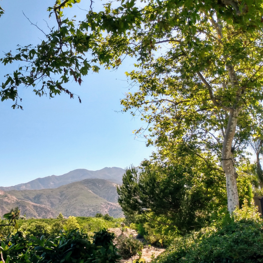 An image depicting the trail Fir Cap Trail and its surrounding area.