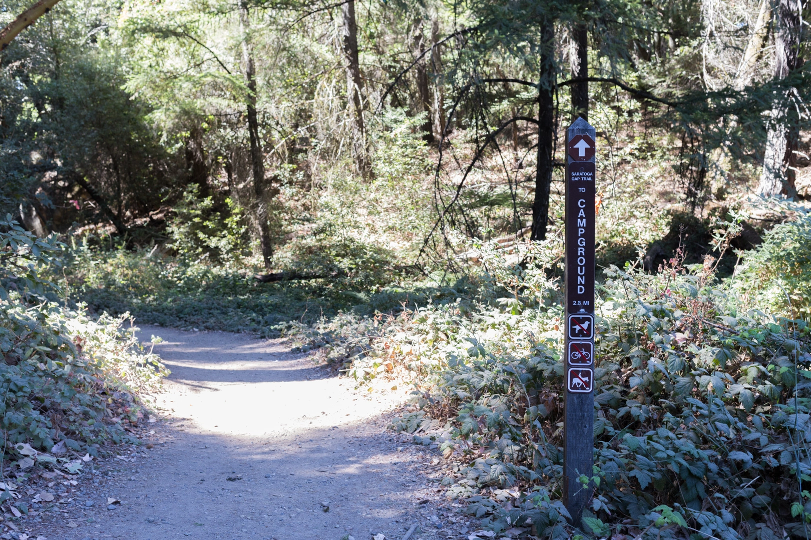 An image depicting the trail Saratoga Gap Trail and its surrounding area.