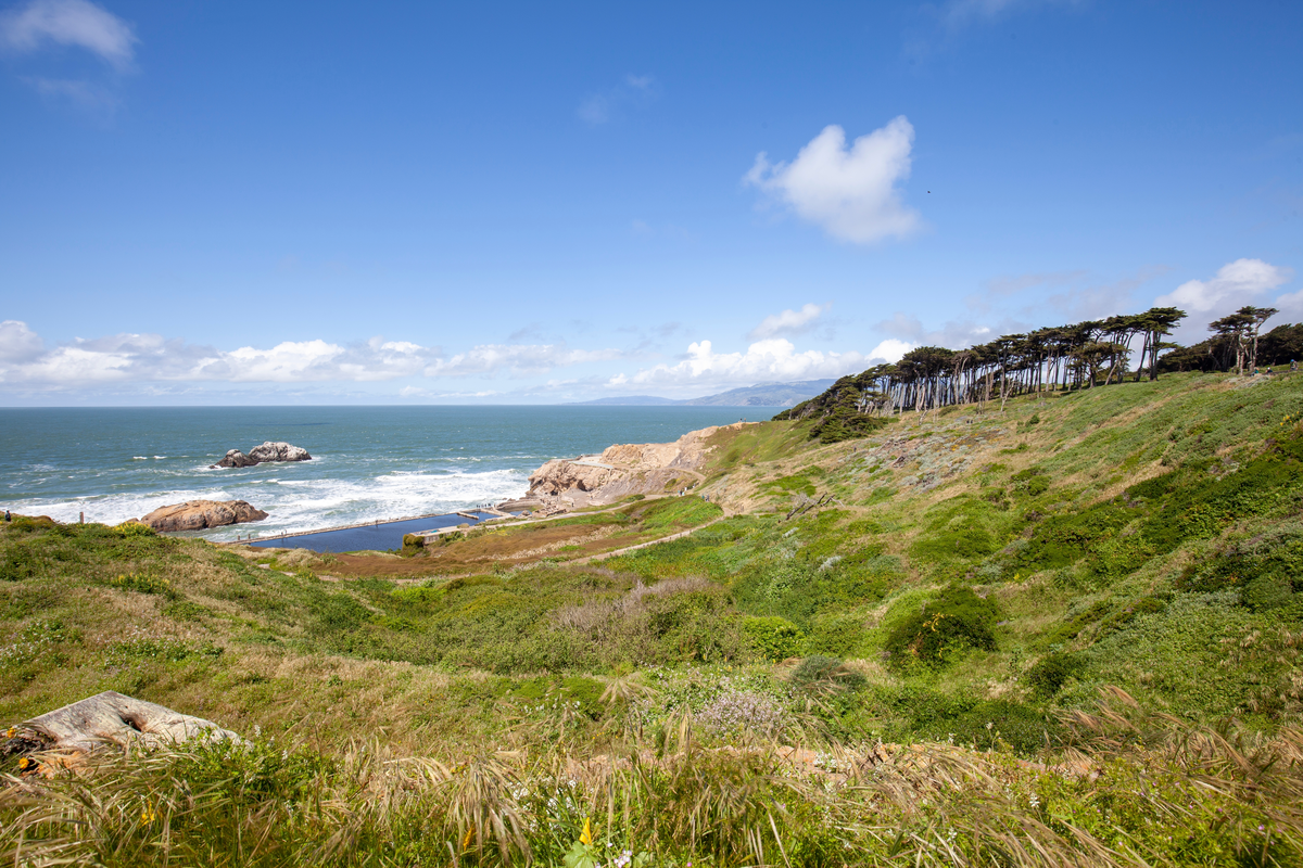 Ecology Trail and Bay Area Ridge Trail Loop