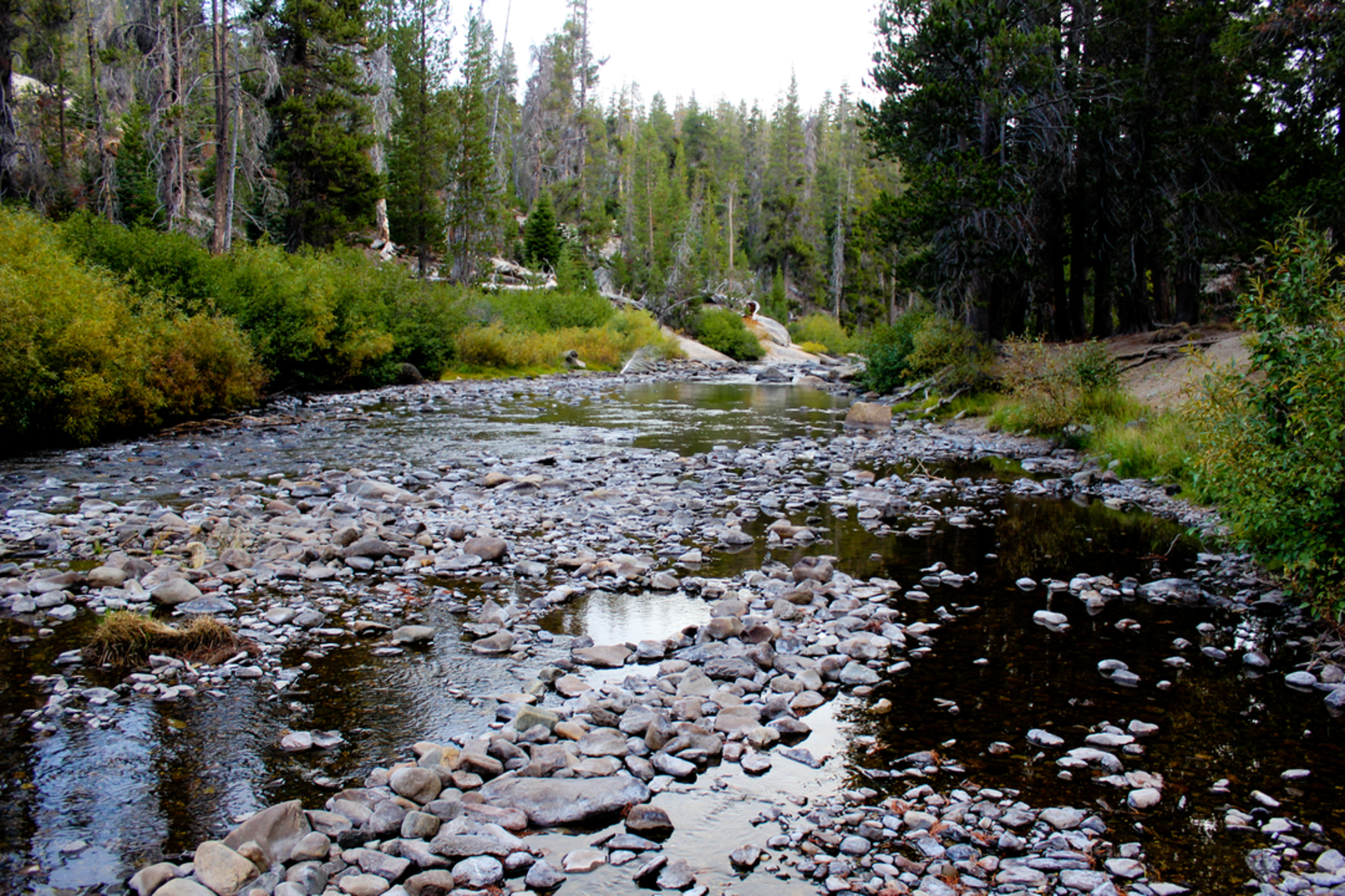 An image depicting the trail Holcomb Lake via Superior Lake Trail and its surrounding area.