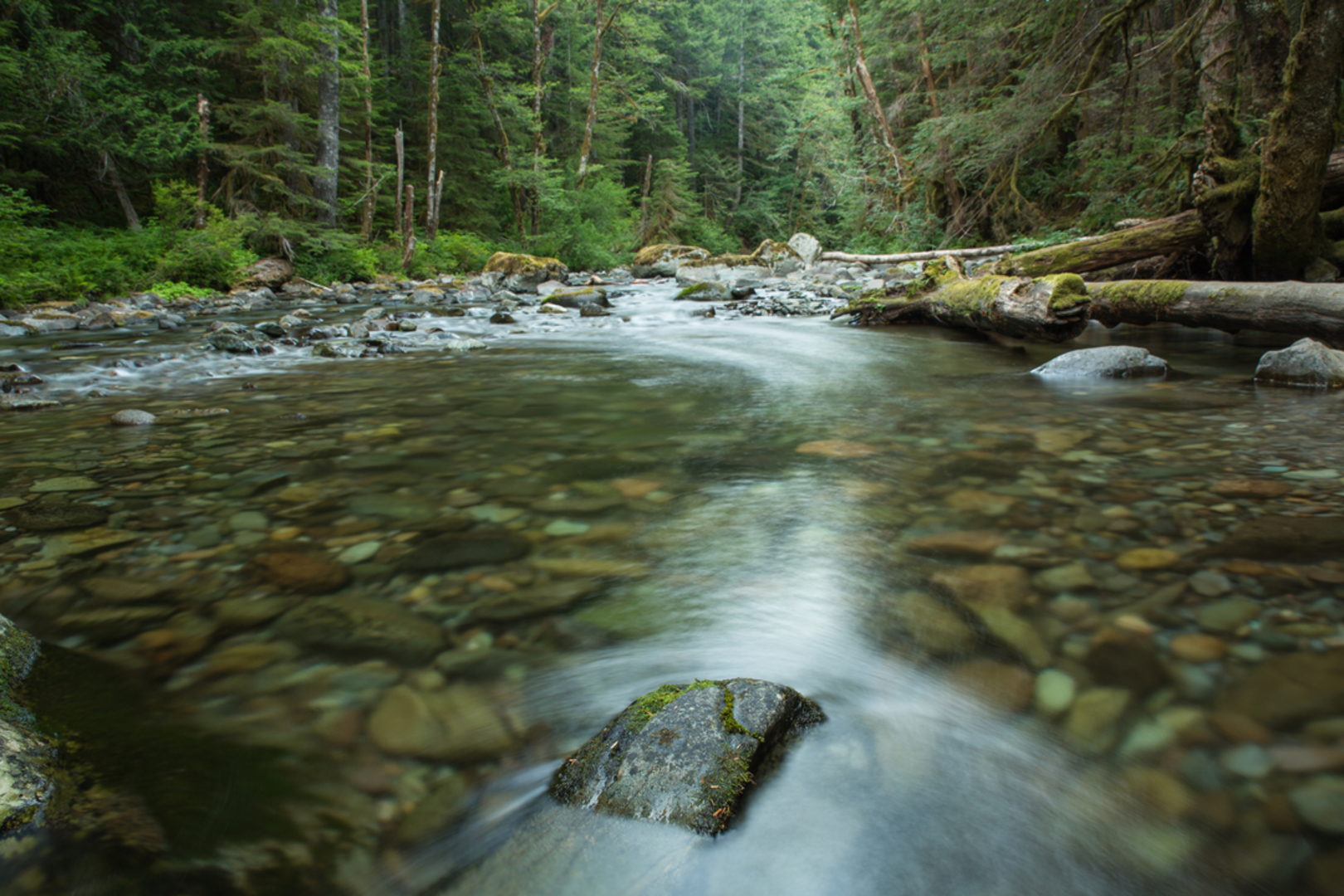 An image depicting the trail Lower Siouxon Trail and its surrounding area.