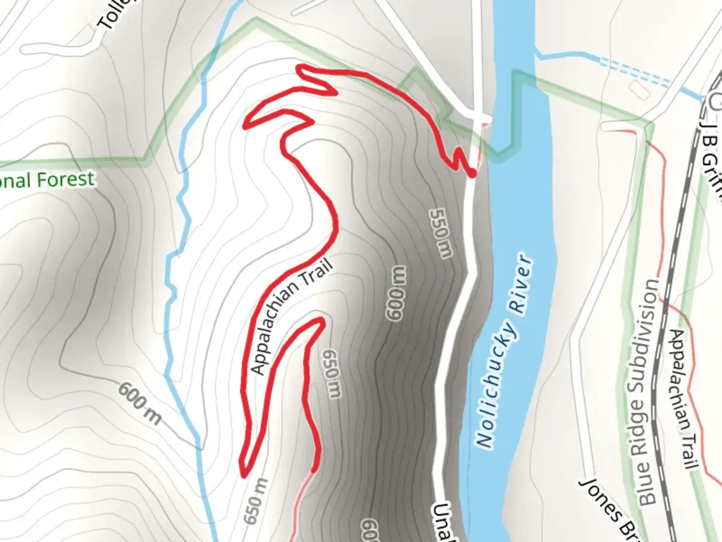 An image depicting the trail Appalachian Trail from Unaka Springs Road and its surrounding area.