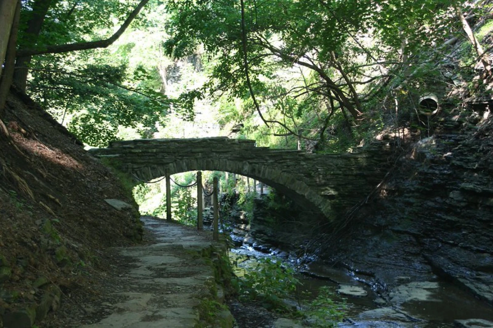 An image depicting the trail Cascadilla Gorge Trail Loop and its surrounding area.