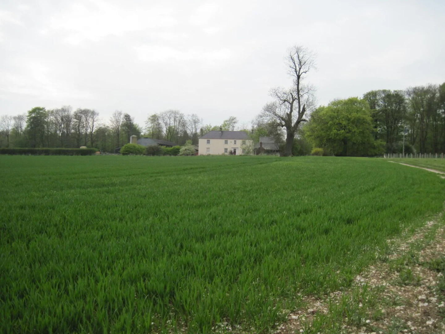 An image depicting the trail Sledmere House Walk and its surrounding area.