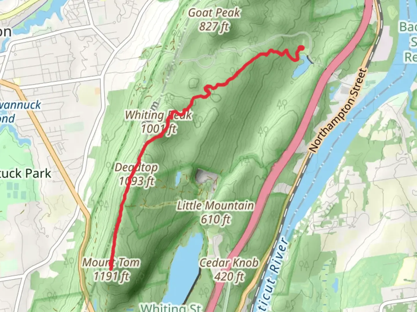 An image depicting the trail Mount Tom via Lake Bray Trail and its surrounding area.