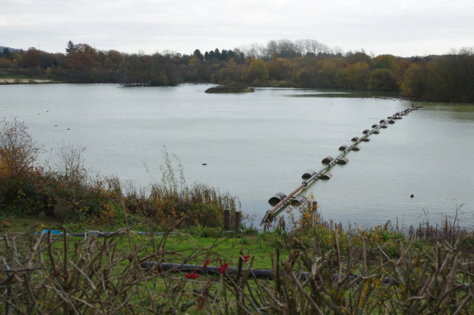 An image depicting the trail Mercer's Park and Spynes Mere Nature Reserve and its surrounding area.