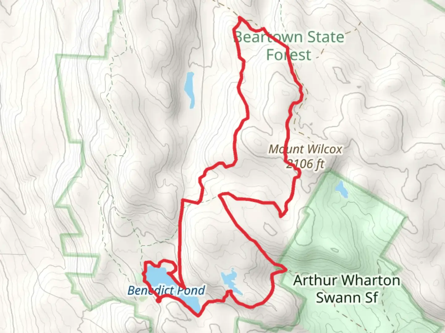 An image depicting the trail Benedict Pond and Mount Wilcox Trail Loop and its surrounding area.
