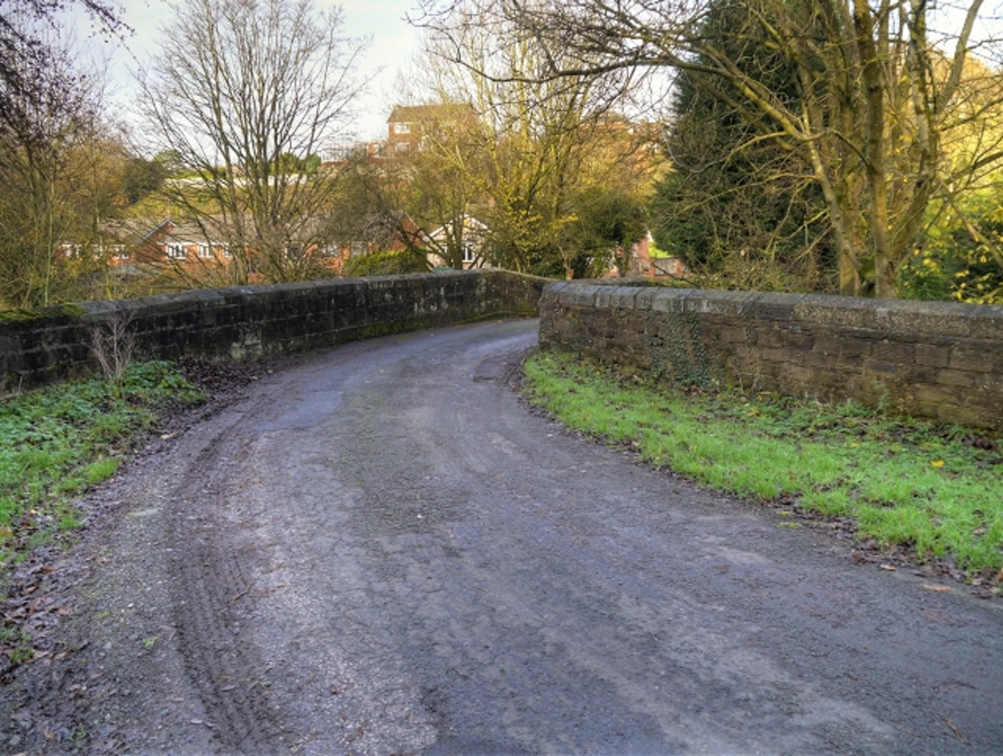 An image depicting the trail Pincock Loop Walk and its surrounding area.