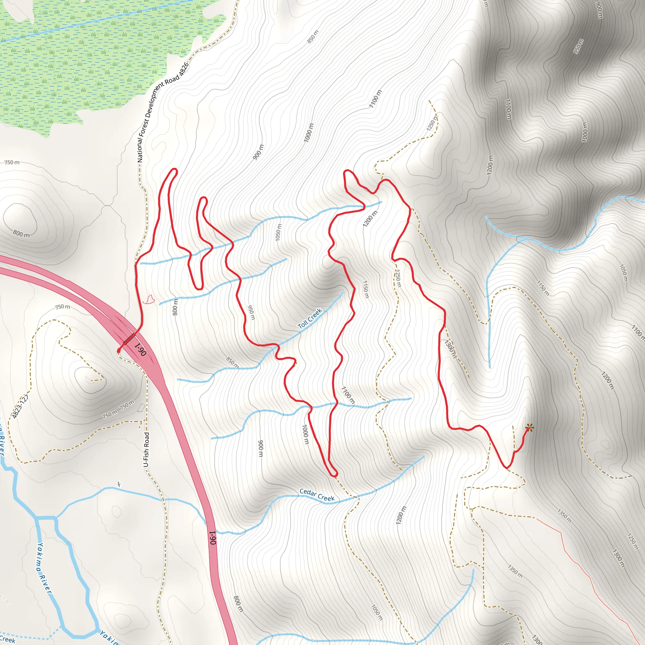 Amabilis Mountain Walk mobile static map