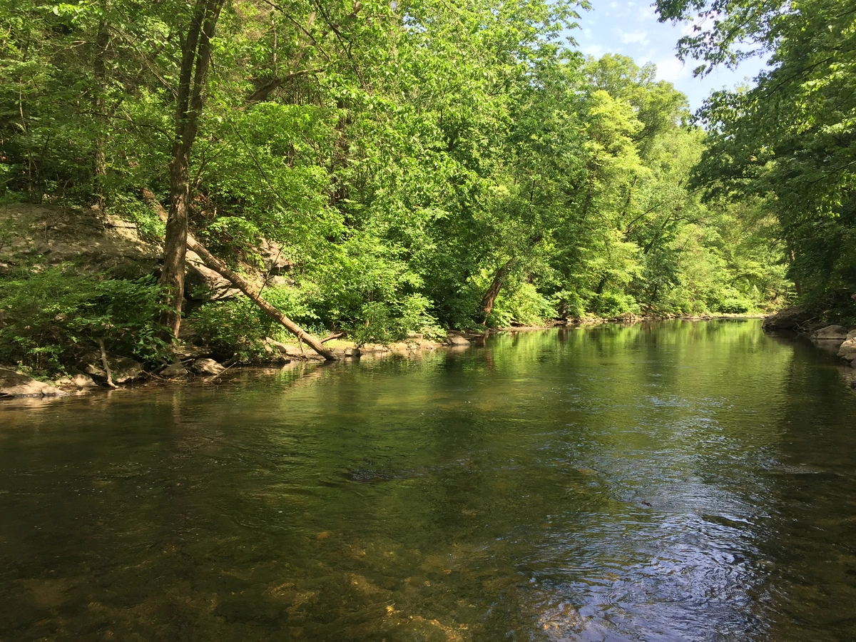 Wissahickon Creek Loop from Valley Green Road